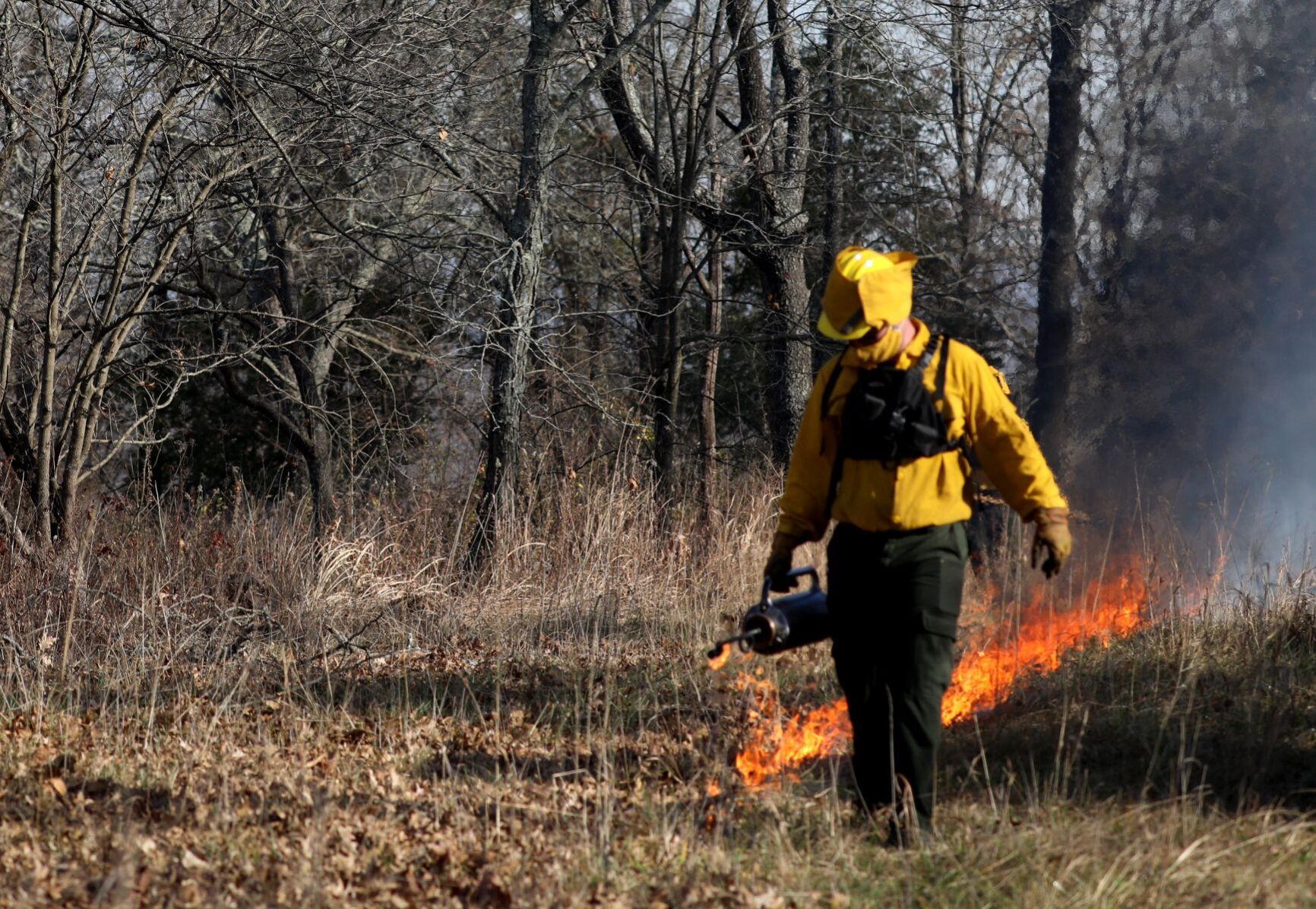 Citizens watch a prescribed burn at Shaw Nature Reserve